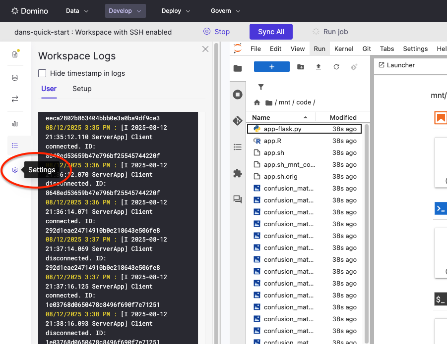 Working with Workspace SSH